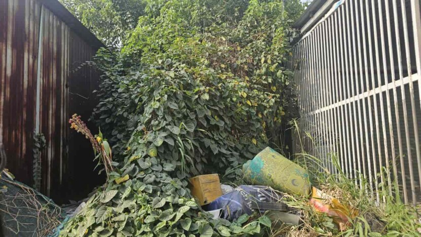 Bán đất Hà Huy Giáp, Thạnh Xuân Quận 12 – Hẻm siêu rộng 2 xe tải, vị trí hiếm 6 bán đất đường Hà Huy Giap quan 12