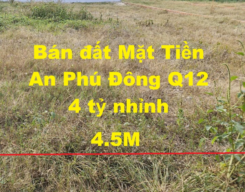 bán đất mặt tiền an phú đông 25